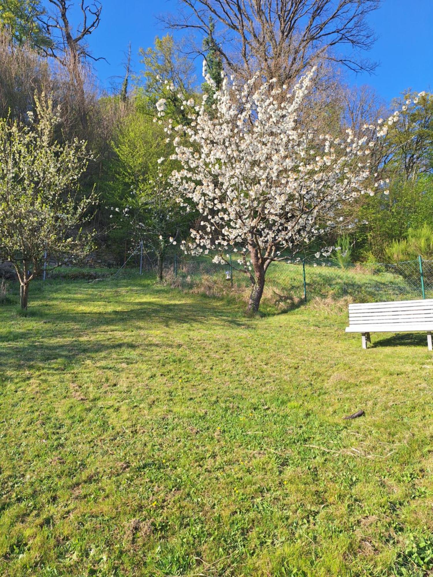 Kleines Domizil Am Suedhang Ortenberg  Номер фото